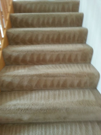 Carpet Cleaning - Commercial