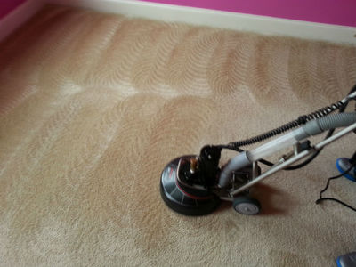 Carpet Cleaner cleaning carpet