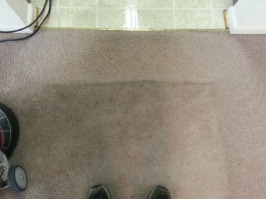 Carpet before Carpet Cleaning