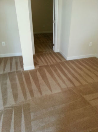 Contact Annapolis Clean Carpet 