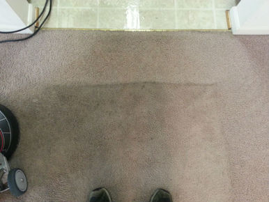 Annapolis Carpet Stain Remover