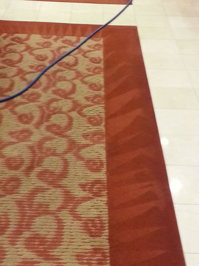 Annapolis Carpet Steam Cleaner