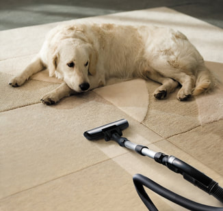 Carpet Cleaning Near Me